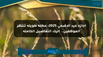 إجازة عيد الأضحى 2025: عطلة طويلة تنتظر الموظفين.. إليك التفاصيل الكاملة